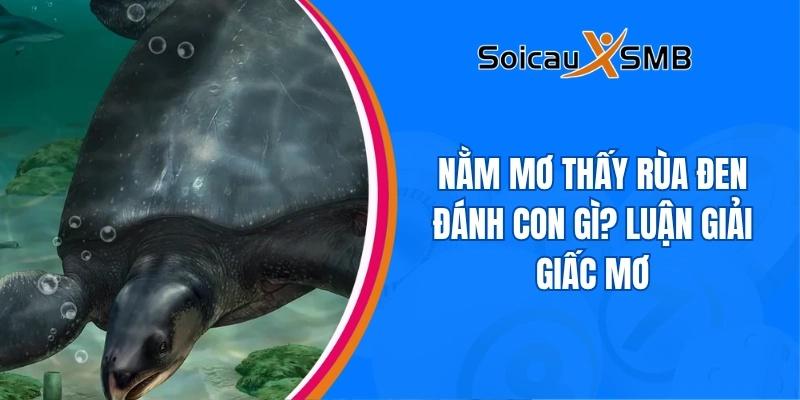 giấc mơ thấy rùa đen