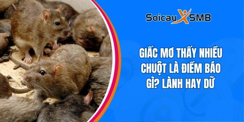 giấc mơ thấy nhiều chuột 