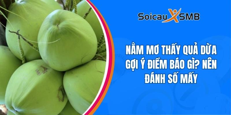 Nằm mơ thấy quả dừa gợi ý điềm báo gì? Nên đánh số mấy