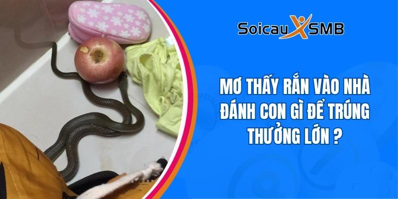 Mơ thấy rắn vào nhà đánh con gì để trúng thưởng lớn ?